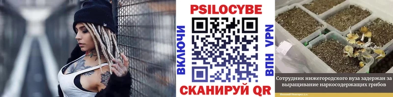 Купить закладки  Котлас  Галлюциногенные грибы GOLDEN TEACHER 